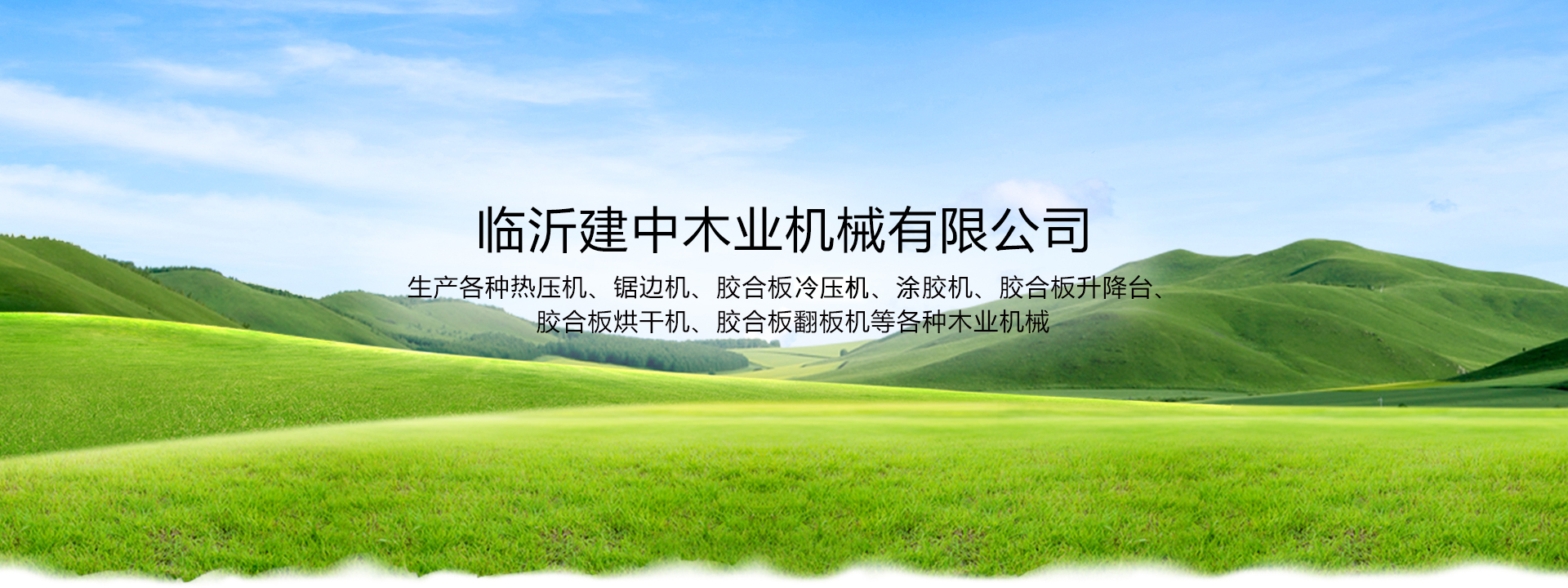 魚(yú)臺(tái)縣清達(dá)精細(xì)化工有限公司